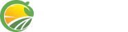 Footer 6