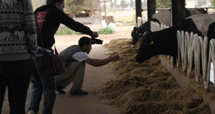 Empowering local growers to harvest healthy produce and promote a sustainable future.