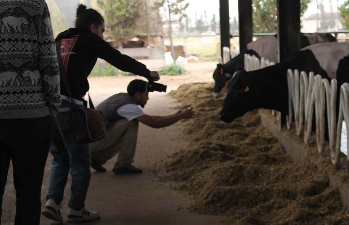 Empowering local growers to harvest healthy produce and promote a sustainable future.
