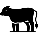 Bovi-Scan